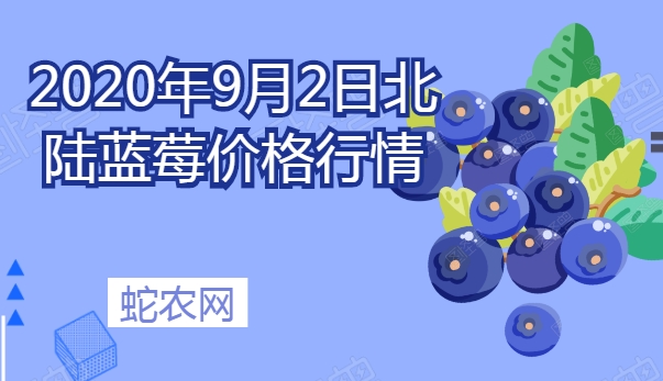 2020年9月2日北陆蓝莓价格行情、今日北陆蓝莓多少钱一斤?