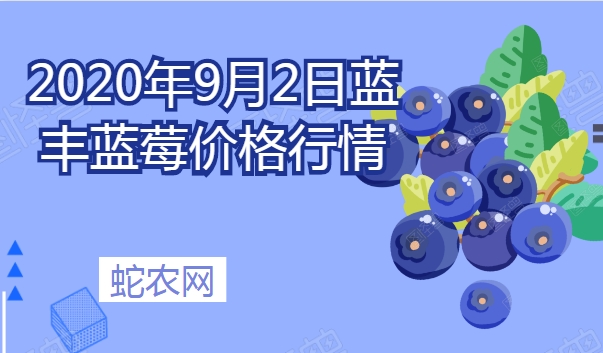 2020年9月2日蓝丰蓝莓价格行情、今日蓝丰蓝莓多少钱一斤？