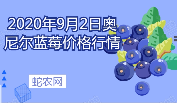 2020年9月2日奥尼尔蓝莓价格行情、今日奥尼尔蓝莓多少钱一斤？