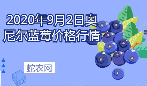 2020年9月2日奥尼尔蓝莓价格行情、今日奥尼尔蓝莓多少钱一斤?