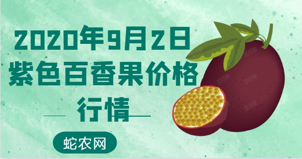 2020年9月2日紫色百香果价格行情、今日紫色百香果多少钱一斤?