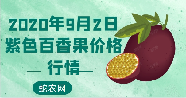 2020年9月2日紫色百香果价格行情、今日紫色百香果多少钱一斤？