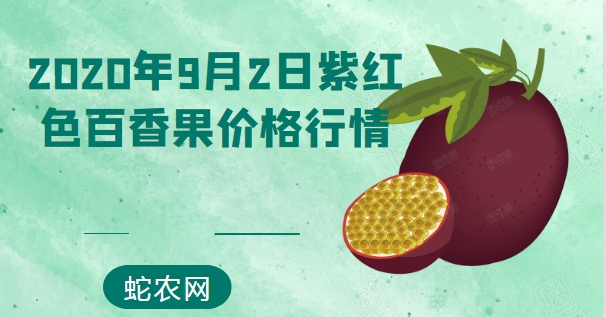 2020年9月2日紫红色百香果价格行情、今日紫红色百香果多少钱一斤？