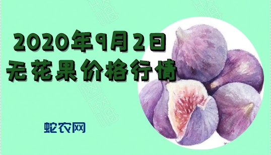 2020年9月2日无花果价格行情、今日各种无花果多少钱一斤?