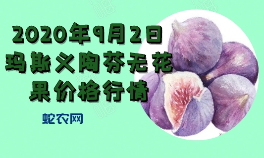 2020年9月2日玛斯义陶芬无花果价格行情、今日玛斯义陶芬无花果多少钱一斤？