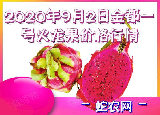 2020年9月2日金都一号火龙果价格行情、今日金都一号火龙果多少钱一斤？