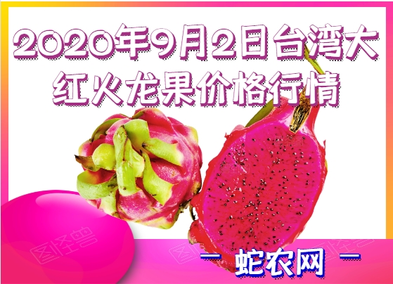 2020年9月2日台湾大红火龙果价格行情、今日台湾大红火龙果多少钱一斤？