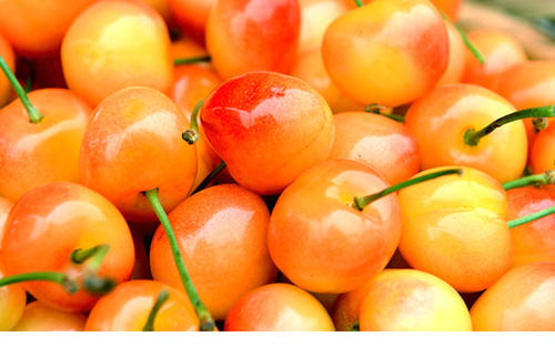 2020年9月2日黄蜜樱桃价格行情、今日黄蜜大樱桃多少钱一斤？