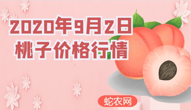 2020年9月2日桃子价格行情、今日各种桃子多少钱一斤？