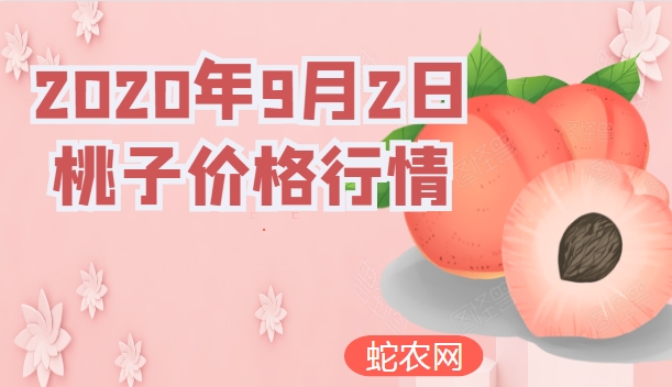 2020年9月2日桃子价格行情、今日各种桃子多少钱一斤?
