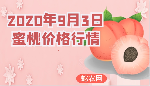 2020年9月3日蜜桃价格行情、今日各种蜜桃多少钱一斤?