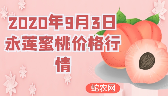2020年9月3日永莲蜜桃价格行情、今日永莲蜜桃多少钱一斤?