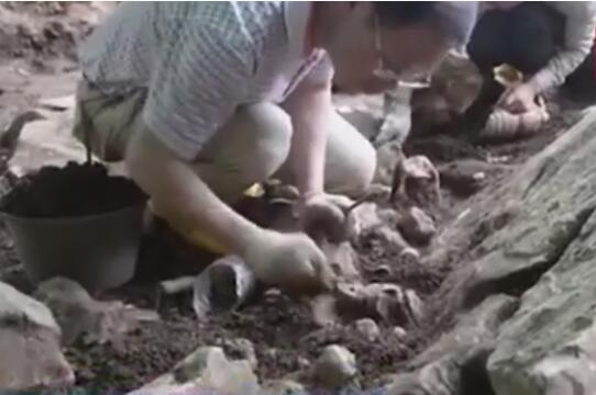 广西发现16000年前的人头骨化石