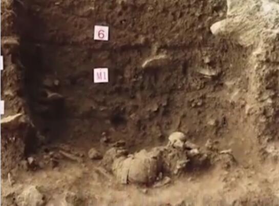广西发现16000年前的人头骨化石