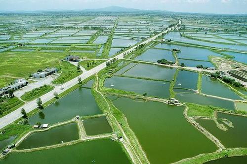 上海滨海新区：“组合拳”推动水产养殖绿色发展