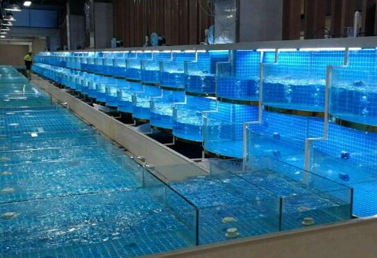 上海市2020年8月水产养殖病害预测预报