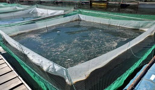 河北省2020年8月水产养殖病害预测预报