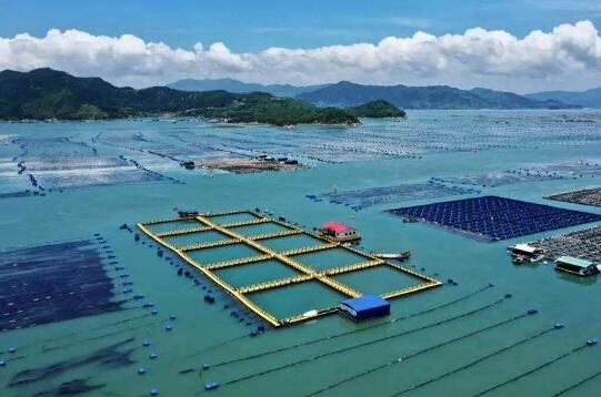 福建省2020年8月水产养殖病害预测预报