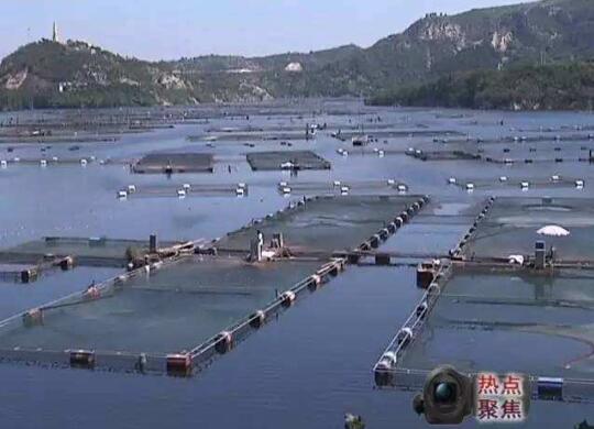 河南省2020年8月水产养殖病害预测预报