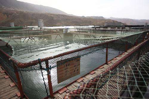 青海省2020年8月水产养殖病害预测预报