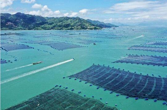 福建省2020年9月水产养殖病害预测预报