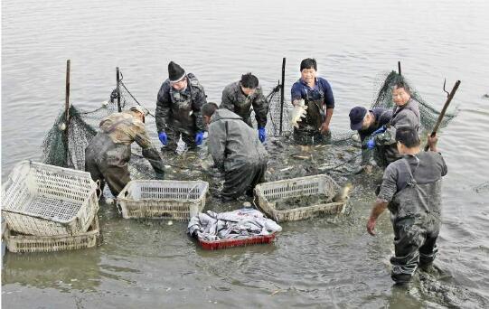 新疆维吾尔自治区2020年9月水产养殖病害预测预报