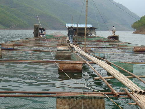 2020年9月云南省水产养殖病害预测预报