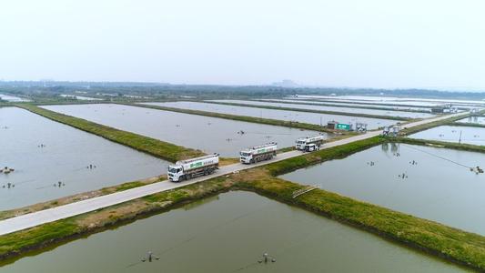 2020年10月河北省水产养殖病害预测预报