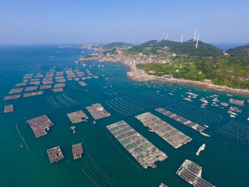 2020年10月福建省水产养殖病害预测预报