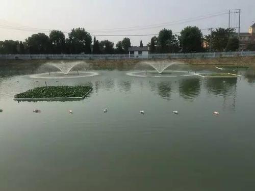 2020年10月吉林省水产养殖病害预测预报