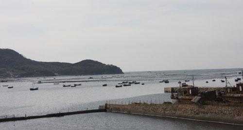 2020年10月辽宁省水产养殖病害预测预报