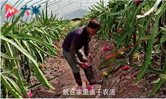 尿毒症男子包下60亩地自救!还不忘了做慈善事业!