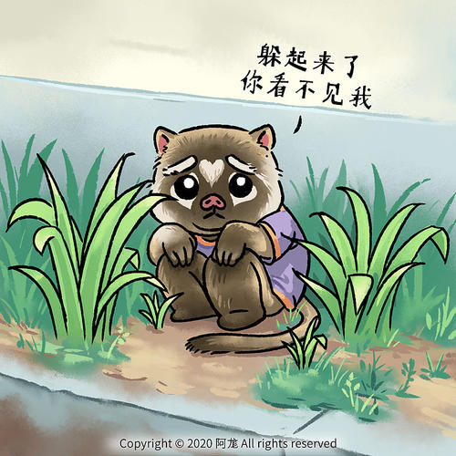 野生果子狸有毒吗?