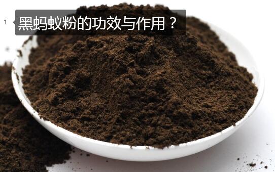 黑蚂蚁粉的功效与作用图片