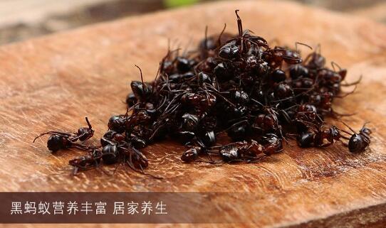 黑蚂蚁粉的功效与作用图片2