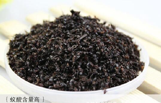 黑蚂蚁粉的功效与作用图片4