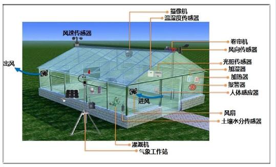 农业智能大棚图片