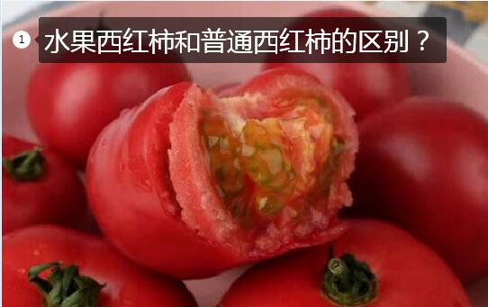 水果西红柿图片1