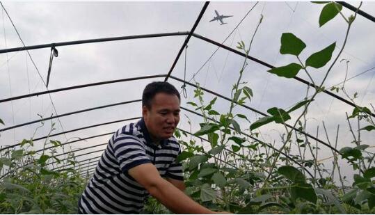 中国“新农民”涌现折射农业现代化新活力