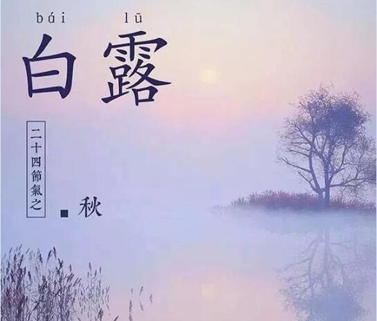 2020年白露是几月几日图片