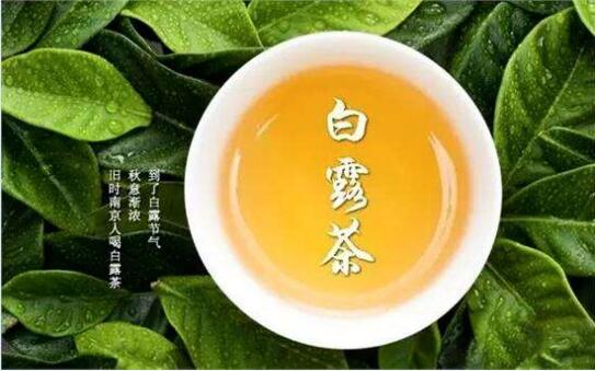 白露习俗图片8