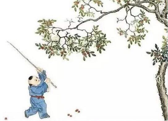 白露习俗图片14