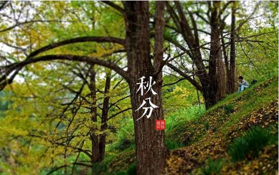 2020年秋分是几月几日