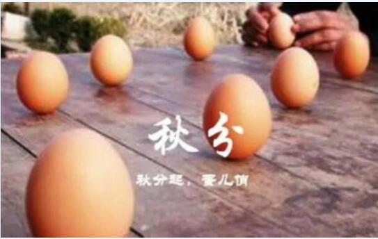 秋分节日习俗图片6