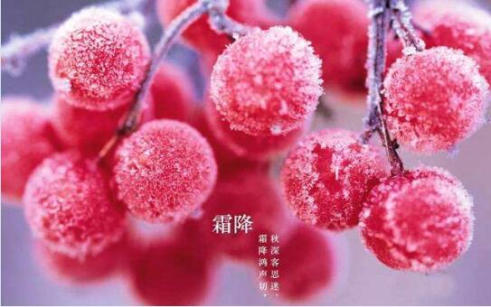 2020年霜降是几月几日