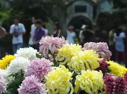霜降节气习俗图片6