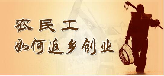 农村创业政策