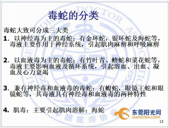 秋季毒蛇凶猛出没频繁!东莞市民外出小心中招!