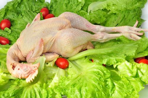 2020年10月12日肉杂鸡价格行情、今日肉杂鸟鸡多少钱一斤?