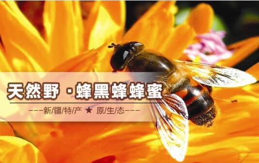 2020年10月23日黑蜂蜂蜜价格行情、今日黑蜂蜂蜜多少钱一斤?